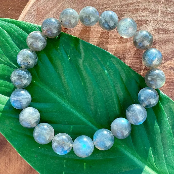 Labradorite Limited New Moon Power Protector Shaman Stone 10mm Stretch Bracelet Lily Rose Jewelry Bracelets