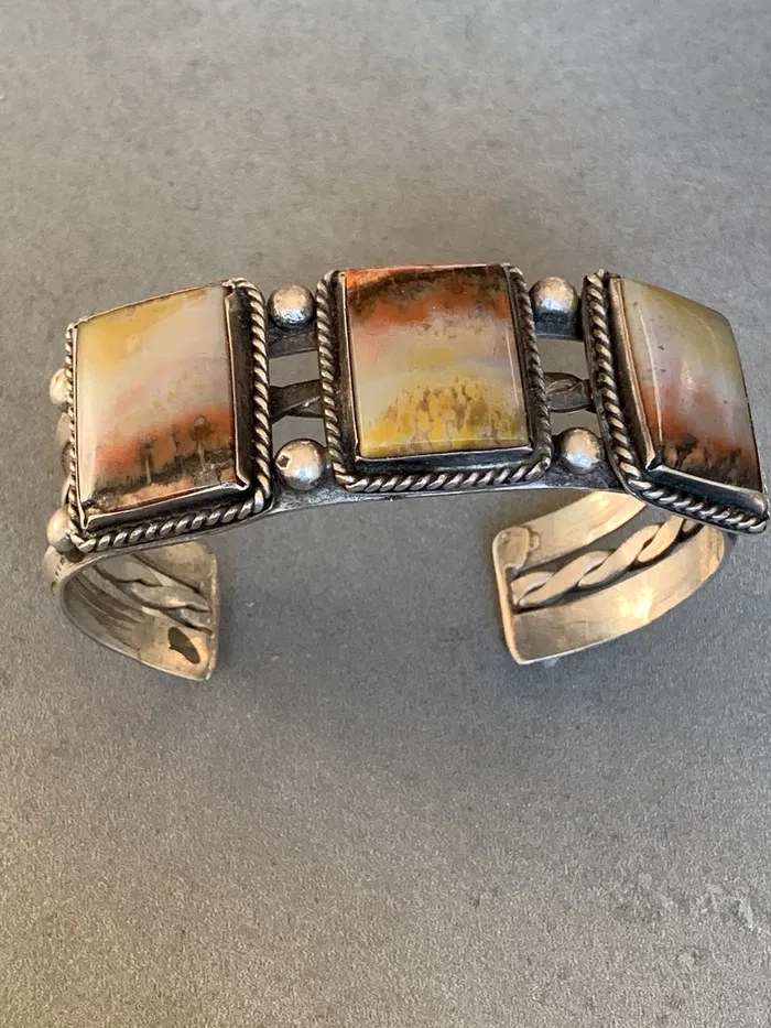 Petrified Wood BraceletFred Harvey Era sterling Crown Jewels Coin Bracelets